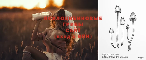 стафф Абинск
